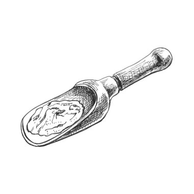 Kırmızı biber. Biberli, yarım ve dilimlenmiş. Vektör vintage kuluçkadan çıkıyor