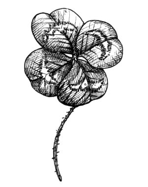 İyi şanslar dört yapraklı yonca. Beyaz bir arkaplanda izole edilmiş tek renkli vintage kuluçka illüstrasyonu.