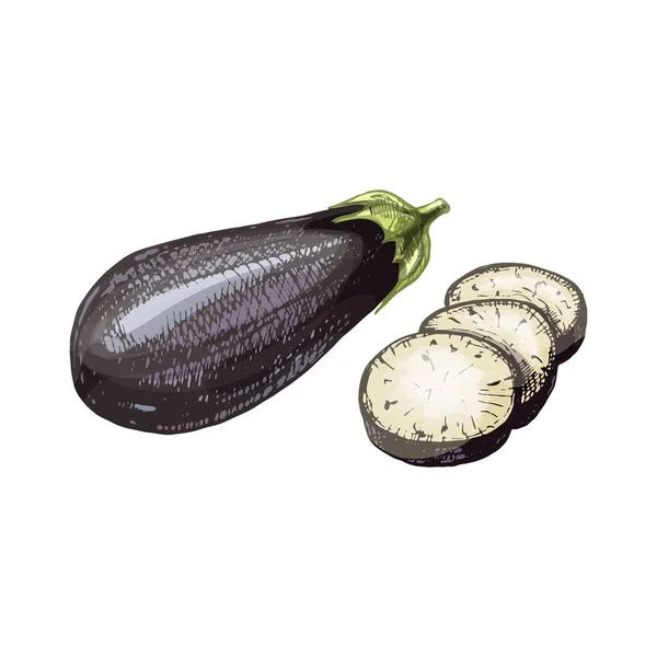 Eggplant whole and slice. Vintage hatching color hand drawn illustration — Vettoriale Stock