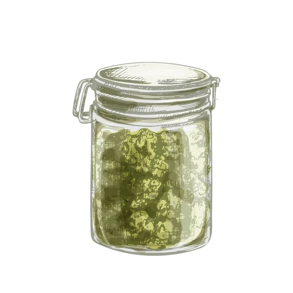 Glass jar with marijuana buds. Vintage vector hatching illustration — Stock Vector