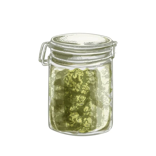 Marihuana tomurcuklu cam kavanoz. Vintage taşıyıcı kuluçkaya yatma illüstrasyonu