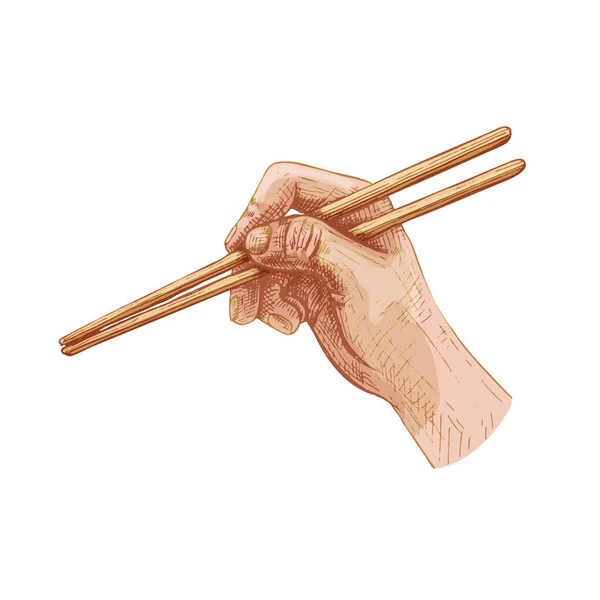 Female Hand Holding Chopsticks Vintage Vector Hatching Color Hand Drawn — Stock vektor