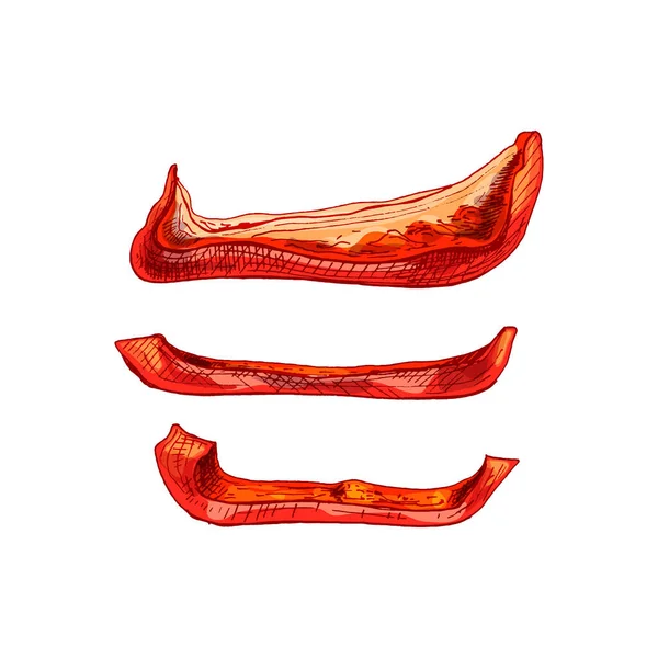 Ολόκληρο το μισό και φέτα κόκκινες πιπεριές. Vector vintage επώαση — Διανυσματικό Αρχείο