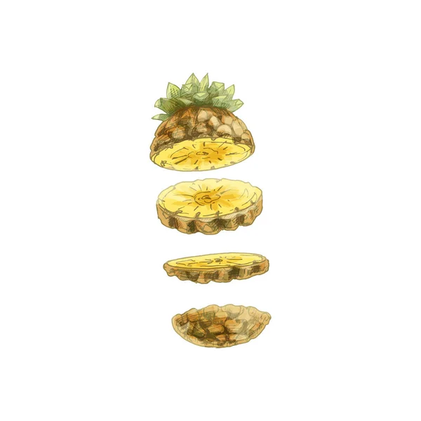 Latające kawałki świeżego ananasa. Wektor vintage wylęgu kolor ilustracji. — Wektor stockowy