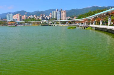 Büyük bir göl, parlak ve yeşil bölgeleri uzaklara taşır.