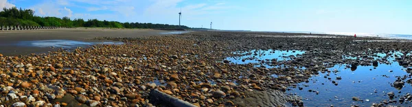 Güzel, güneşli sahilde bulunan dev yel değirmenleri