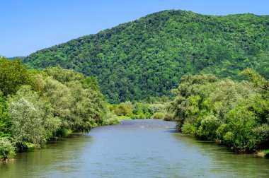 Swift Dağı nehri, büyük bir dağın arka planına karşı. Dağ vadisindeki su manzarası. Güzel manzara. Karpatlar.