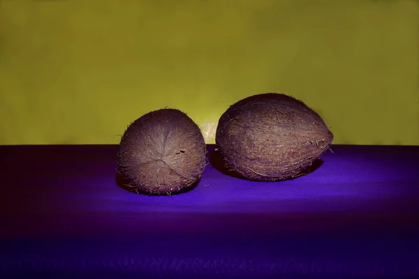 Dos Cocos Enteros Sobre Una Superficie Púrpura Fondo Amarillo — Foto de Stock