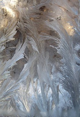 Şiddetli dondurucu soğuklar sırasında, pencere camlarında çeşitli güzel buz desenleri belirir, eğer güneş ışığıyla aydınlatılırsa, özellikle çekici bir görünüme sahip olurlar..