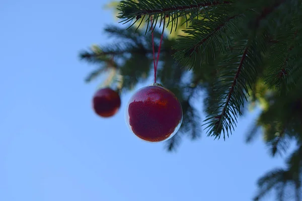 Ramo Uma Árvore Natal Decorado Com Bolas Vermelhas Livre — Fotografia de Stock