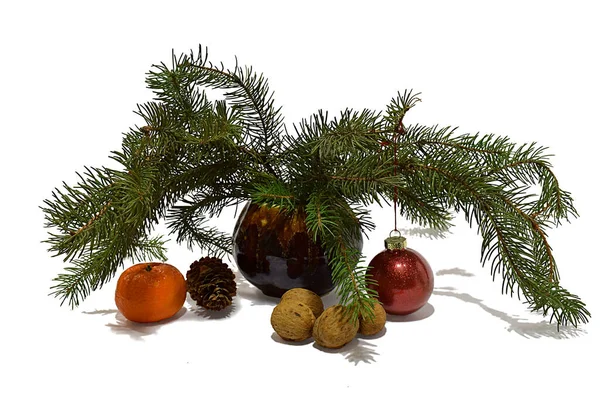 Christmas Still Life Fir Branches Small Vase Walnuts Tangerine Isolate — Stock Photo, Image