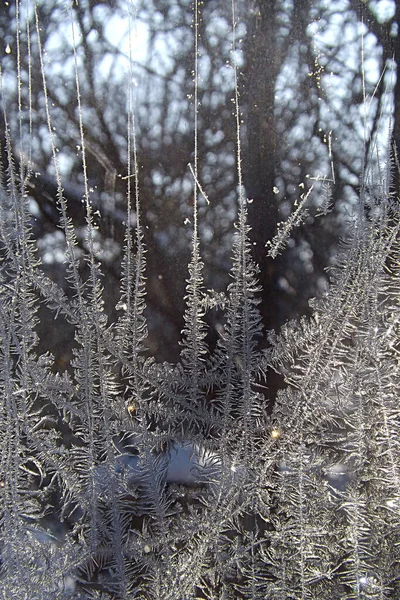 Motif Givré Sur Fenêtre Hiver Dendrites Fond Noël — Photo