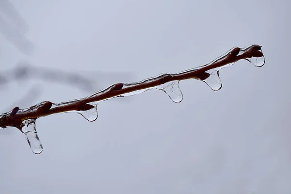 雨后在负温度下的冰雹 — 图库照片