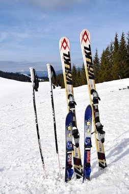 Çocuklar ve yetişkinler için alp kayağı ve dağ yamacında kayak direkleri