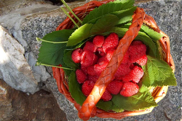 Granite Stands Basket Fresh Raspberries Top View Close — Stock Photo, Image