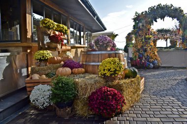 Sonbahar çiçekleri, balkabakları ve samanlarla dolu güzel bir tesis..