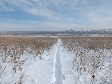 Steppe. Ufukta düz bir yol var..
