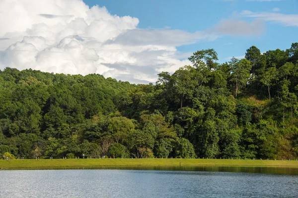 Reflection tree and sky — Stock Photo, Image