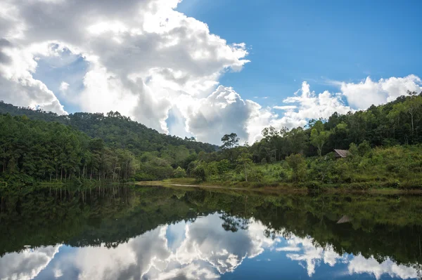 Árbol de reflexión y cielo —  Fotos de Stock