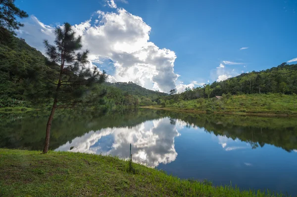 Réflexion de la nature — Photo