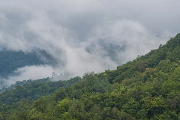 Brouillard de montagne — Photo