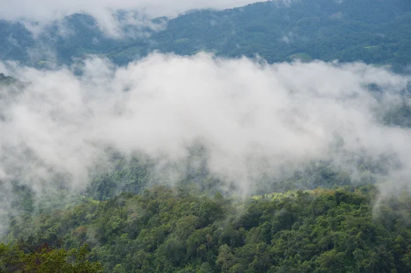 Brouillard de montagne — Photo