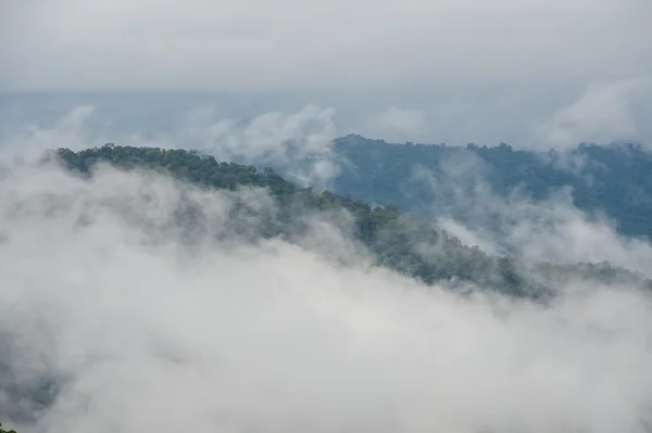 Brouillard de montagne — Photo