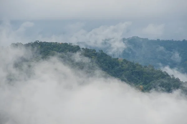 Brouillard de montagne — Photo