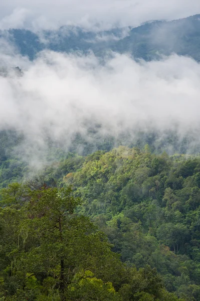 Brouillard de montagne — Photo