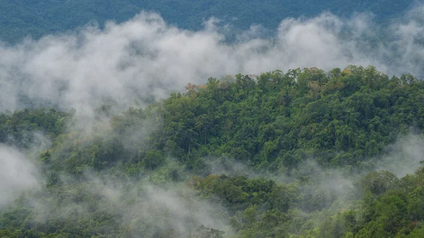 Brouillard de montagne Photo De Stock