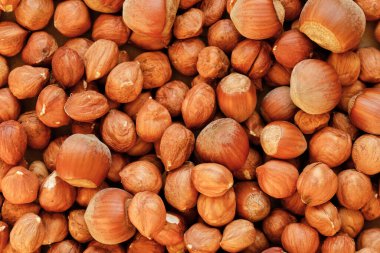 Fındık kabuğuyla karıştırılmış bir sürü soyulmuş fındık. Sonbahar hasat kavramı. Vitamin dolu doğal ve organik yiyecekler. Mevsimlik vejetaryen beslenme.