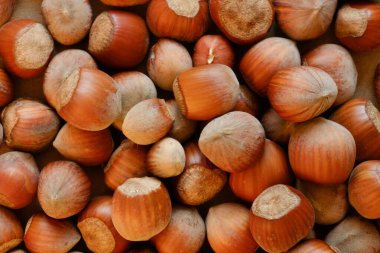 Bir sürü fındıklı fındık. Sonbahar hasat kavramı. Vitamin dolu doğal ve organik yiyecekler. Mevsimlik vejetaryen beslenme.