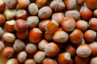 Fındıklı fındık ezmesi. Sonbahar hasat kavramı. Vitamin dolu doğal ve organik yiyecekler. Mevsimlik vejetaryen beslenme.