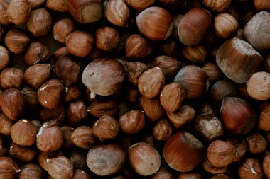 Fındıklı fındık ezmesi. Sonbahar hasat kavramı. Vitamin dolu doğal ve organik yiyecekler. Mevsimlik vejetaryen beslenme. Düşük Parlaklık Resmi