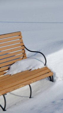 Güneşli bir günde, karlı bir parkta boş bir bank.