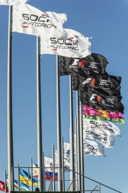 Sochi autodrom bayraklar.