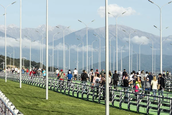 Sochi autodrom, yaya köprüsü. — Stok fotoğraf