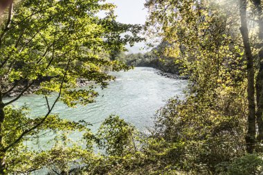 Bir dağ nehir manzarası.