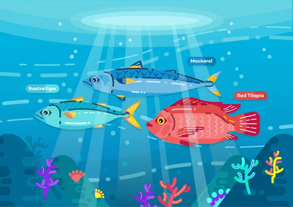 Wektor Trzy Ryby Oceanie Ryby Pływające Morzu Pod Wodą Lekkim — Wektor stockowy