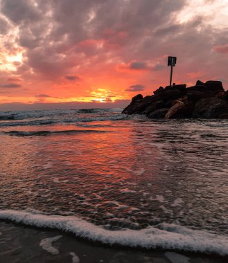 Nehirde uyuyan köpek suratı 