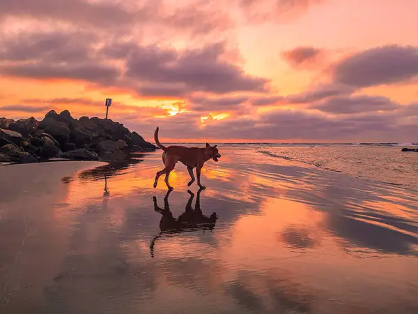 Sunset Sun Dogs Wallpaper — Stock Photo, Image