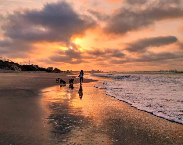 Silhouette Woman Walking Her Dogs Beach — Stock Photo, Image