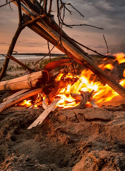 campfire with friends on the beach