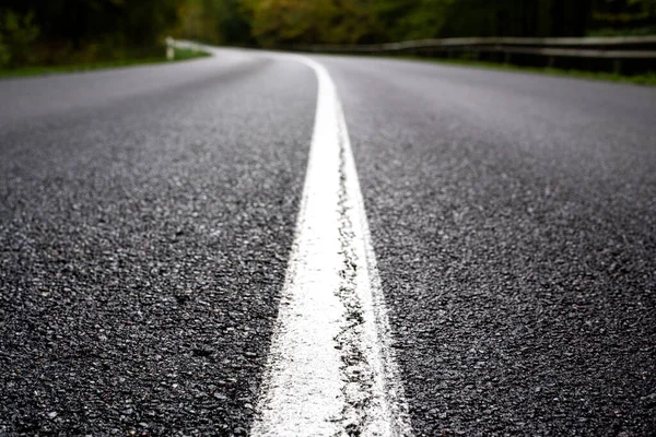 An empty road leading through a thicket. White road markings on the asphalt.