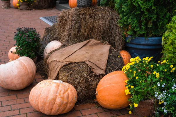 Thanksgiving city street decoration. Ripe pumpkins, flowers and a haystack on the pavement.