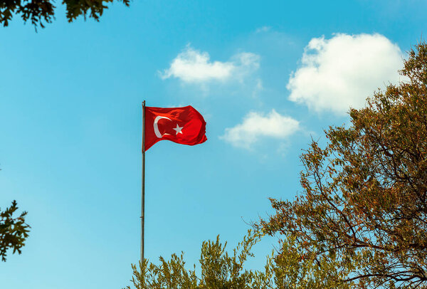 Флаг Турции, машущий на фоне голубого неба и ветвей деревьев