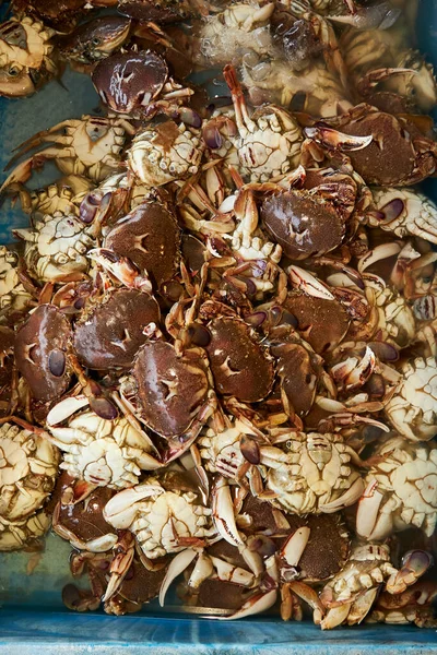 Fresh crab for sale on a counter with ice, Pacific Ocean, Taiwan