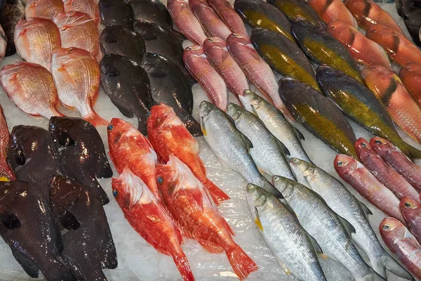 Fresh fish for sale on a counter with ice, Pacific Ocean, Taiwan