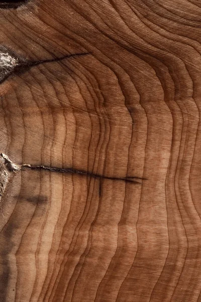 A full frame nature wood grain surface as design background.