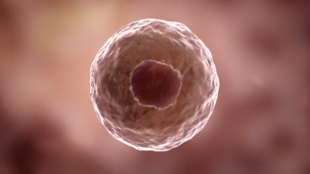 Cells dividing and multiplying.HD